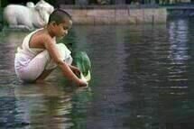 Water Water