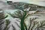Watermark