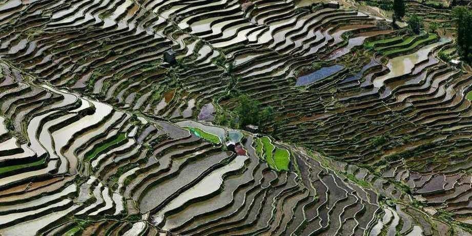 Watermark Feature