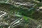Watermark Feature