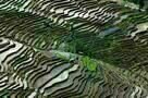 Watermark Feature