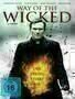 Way of the Wicked - Plakat
