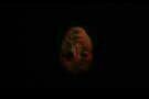 We Are the Flesh 06