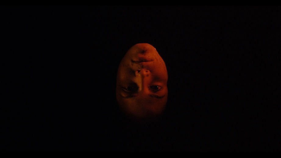 We Are the Flesh 06