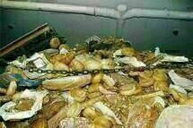 We Feed The World We Feed The World