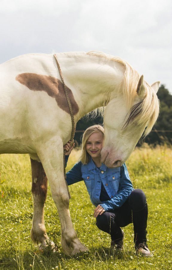 Wendy - Der Film - Poster