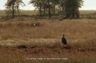 Which Way Africa? - Ausschnitt