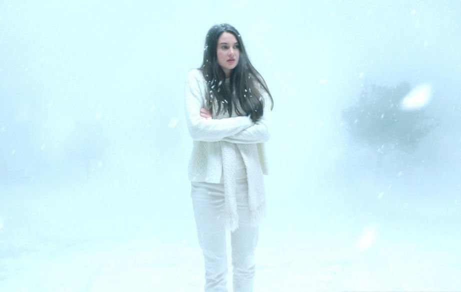 White Bird in a Blizzard 03
