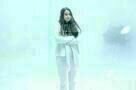 White Bird in a Blizzard 03