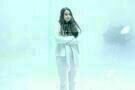 White Bird in a Blizzard 03