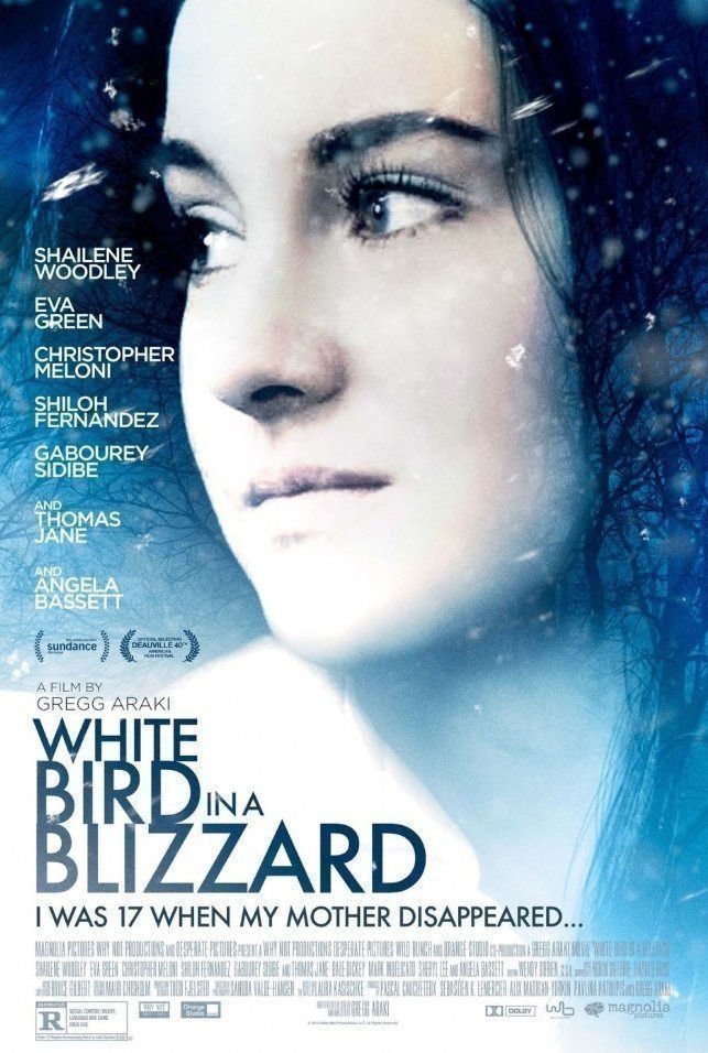 White Bird in a Blizzard - Poster
