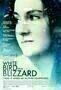 White Bird in a Blizzard - Poster