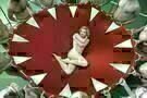 Who Killed Marilyn 02