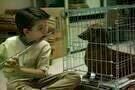 Wiener Dog 02