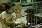 Wiener Dog 02