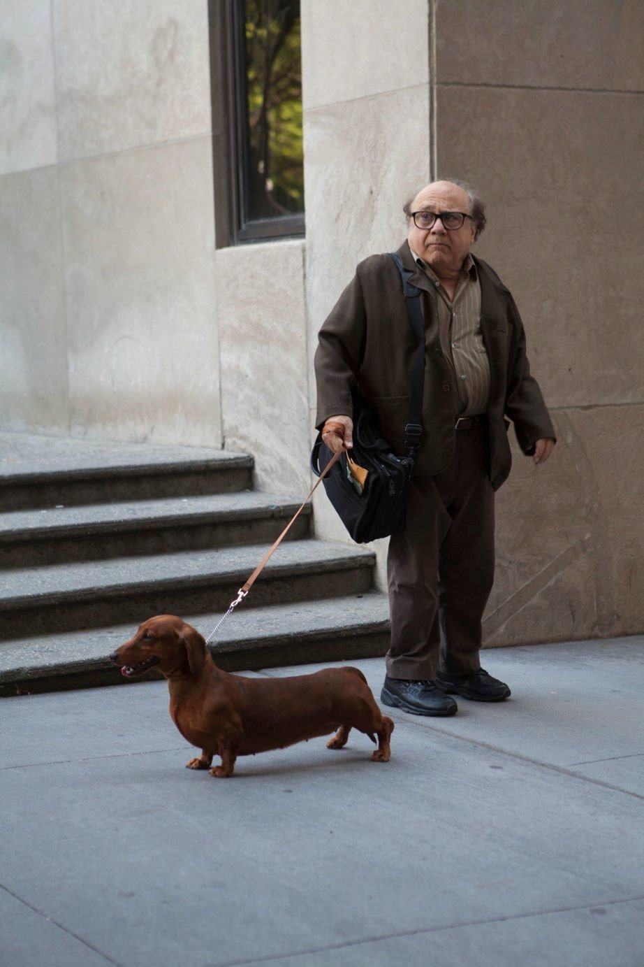 Wiener Dog 03