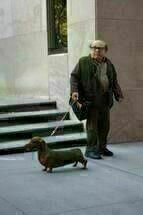 Wiener Dog 03