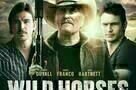 Wild Horses - Plakat