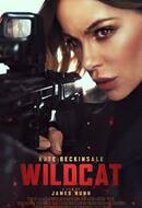 Wildcat