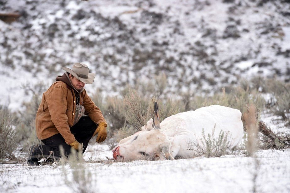 Wind River 1