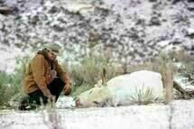 Wind River 1