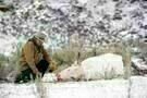 Wind River 1