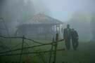 Wind und Nebel 3