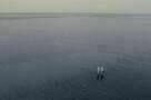 Wir sind die Flut 02