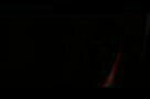 Wir sind die Flut - Trailer