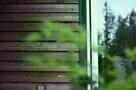 Without - Trailer