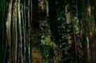 Woodshock - Poster