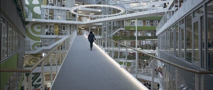 Work Hard - Play Hard  02 Work Hard - Play Hard  02