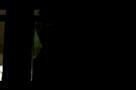 Wrath - Trailer
