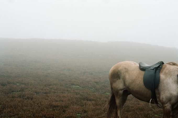 Wuthering-heights  1