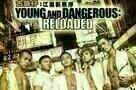 Yound and Dangerous Reloaded - Poster