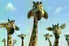 Zambezia