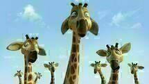 Zambezia