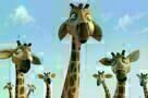 Zambezia
