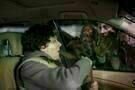 Zombieland